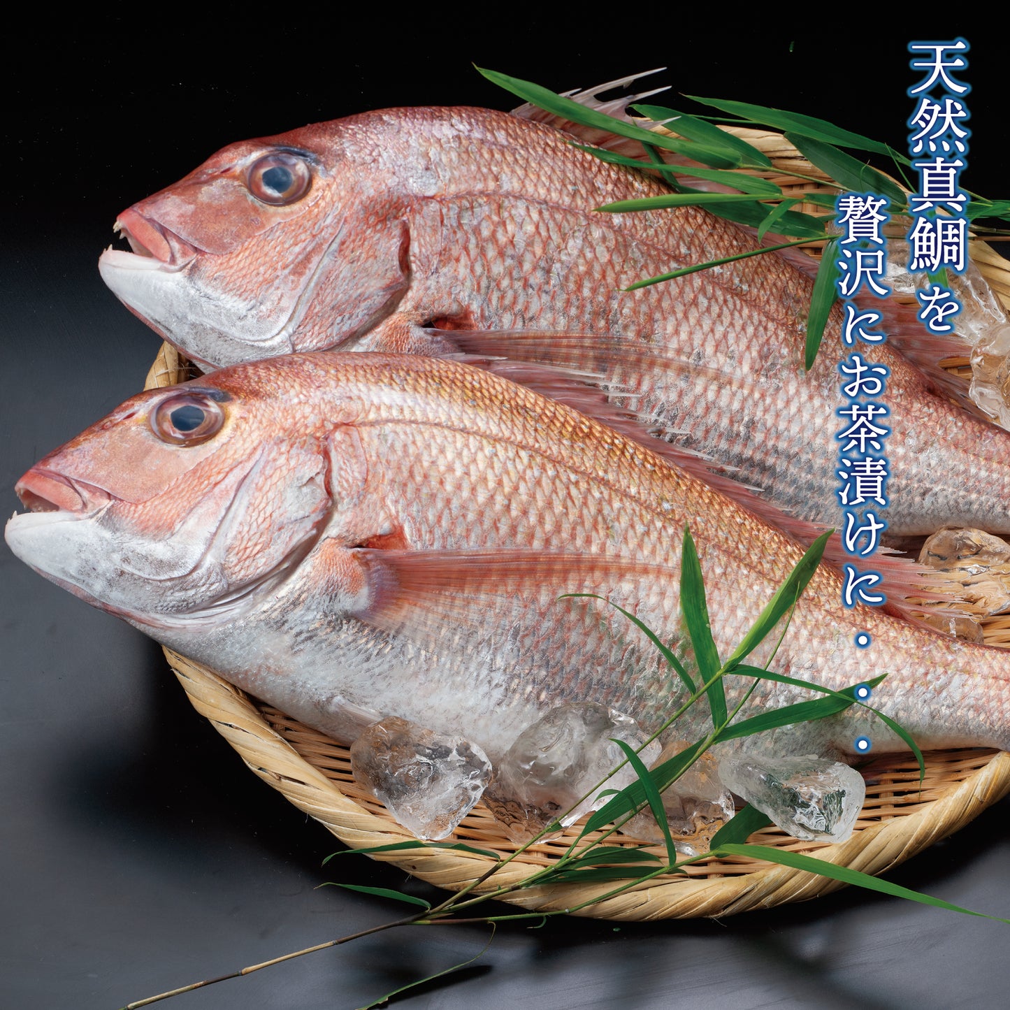 せんざん本店 天然真鯛茶漬けセット