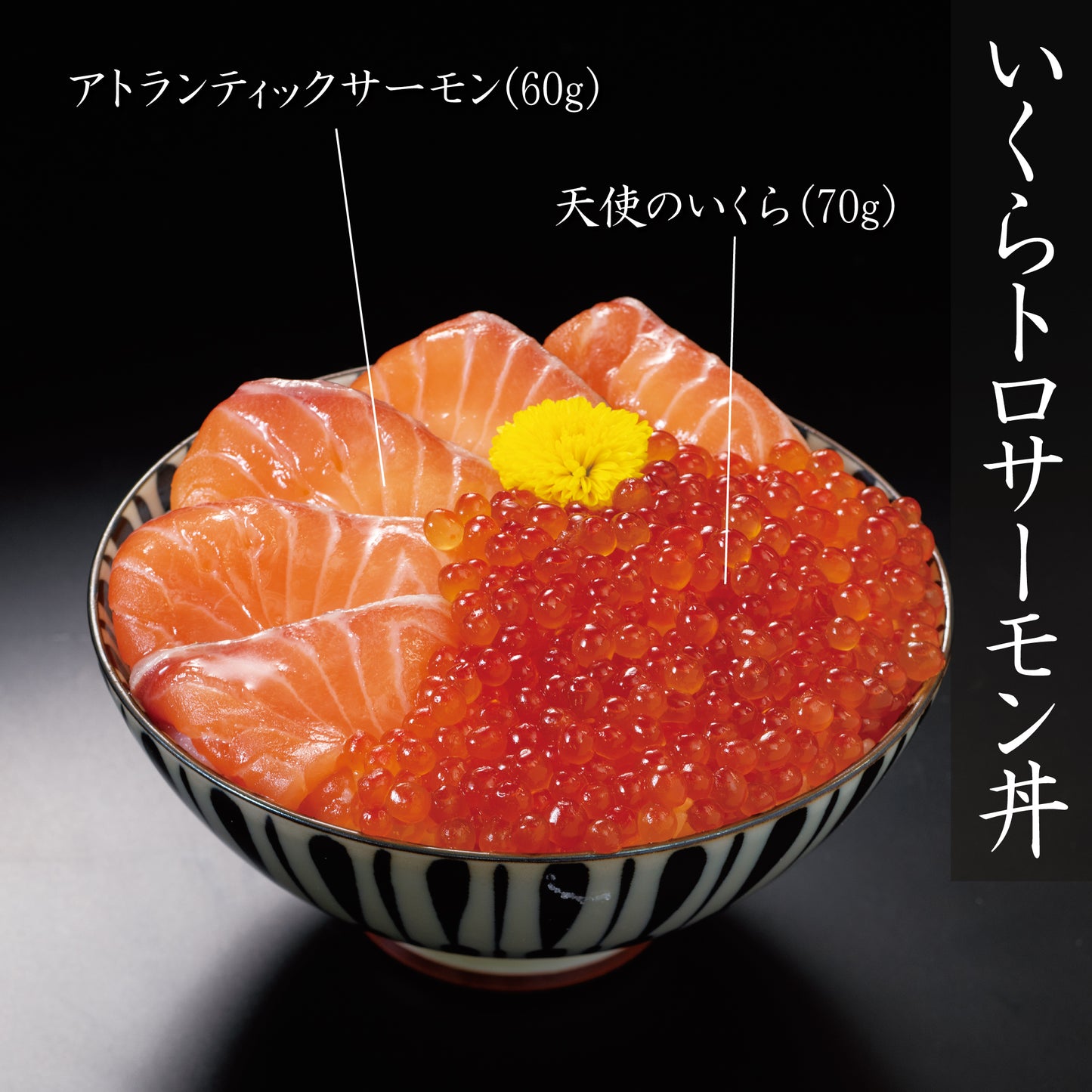 まる浜 特撰 海鮮丼ギフト