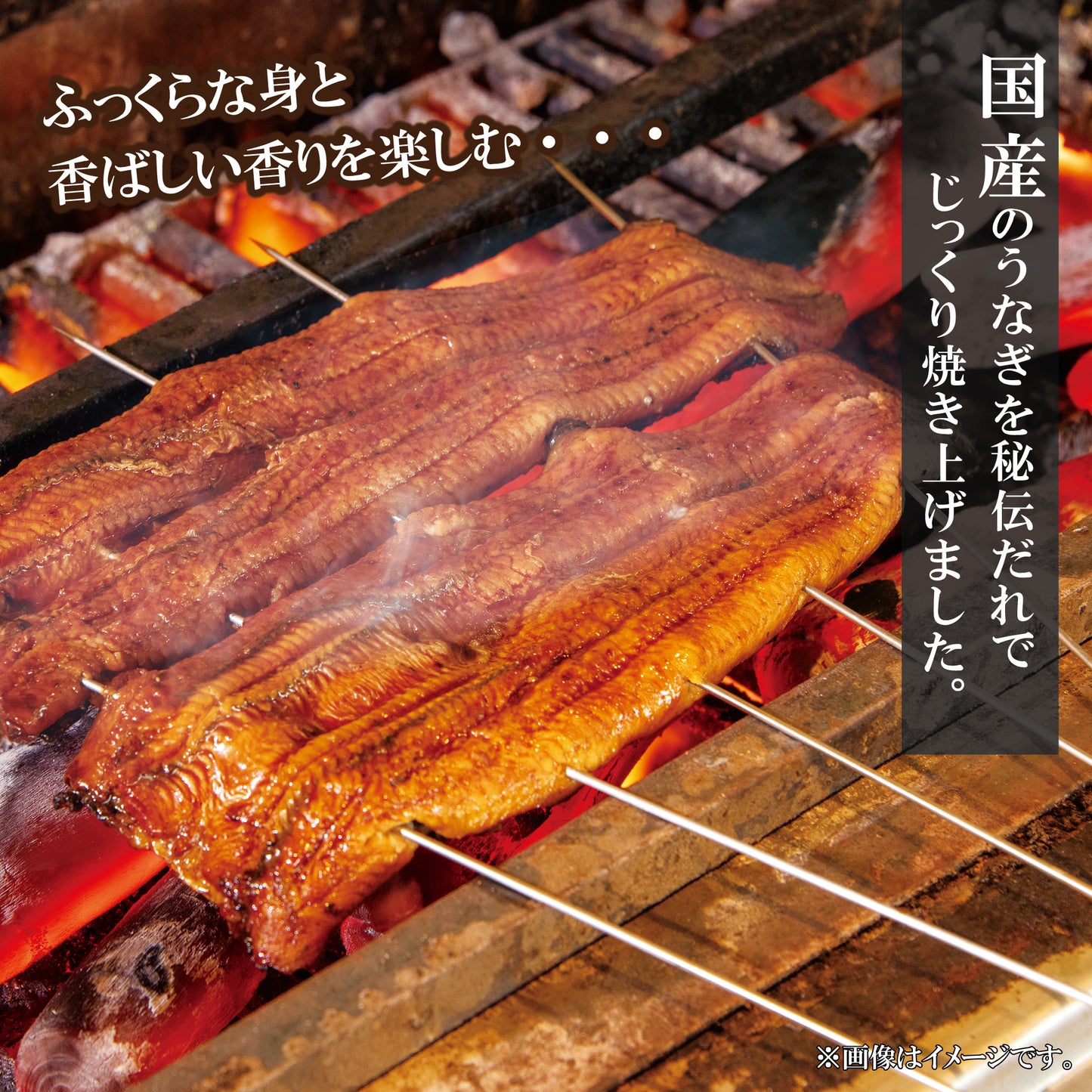 国産うなぎ蒲焼セット