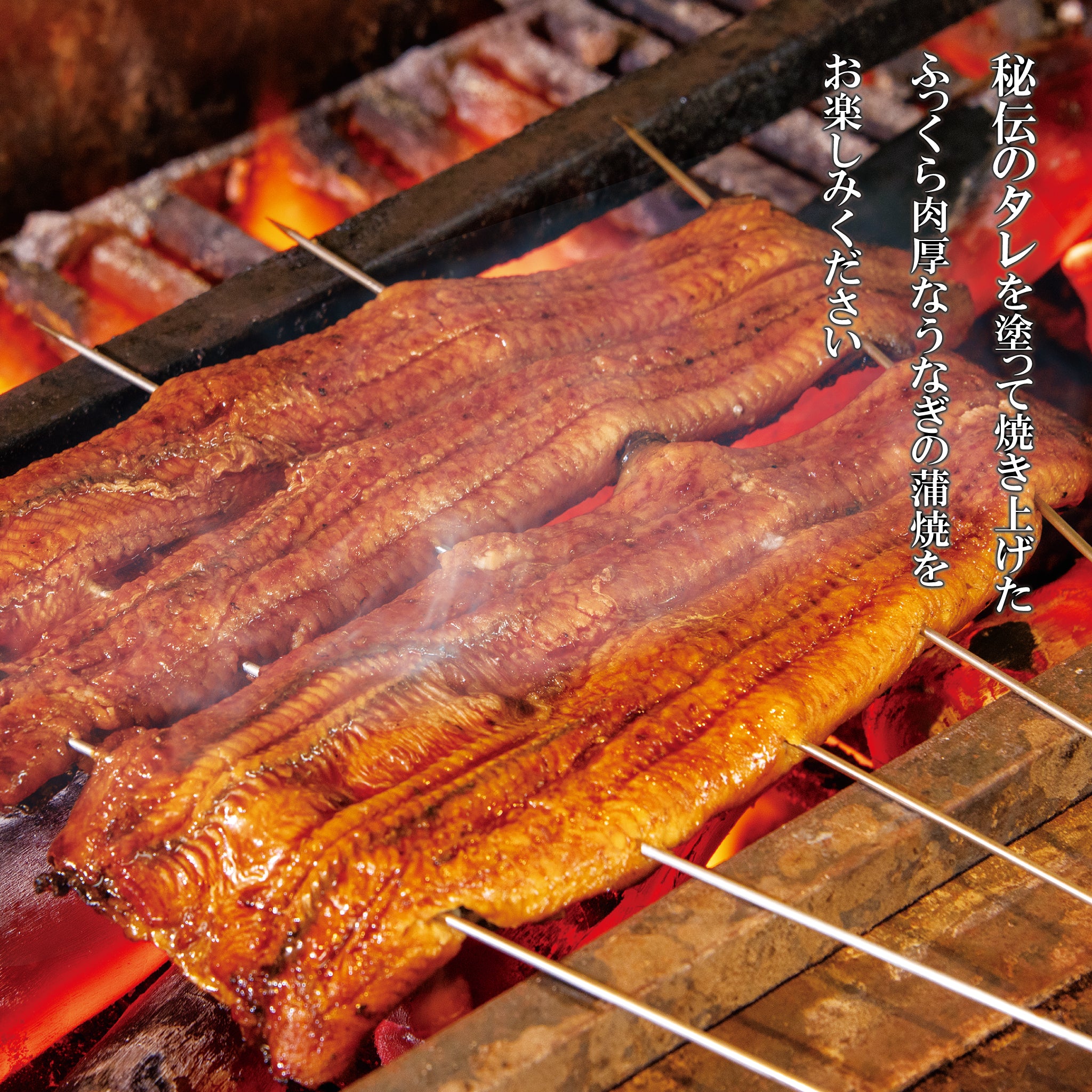 うなぎ蒲焼セット – SENZAN オンラインショップ