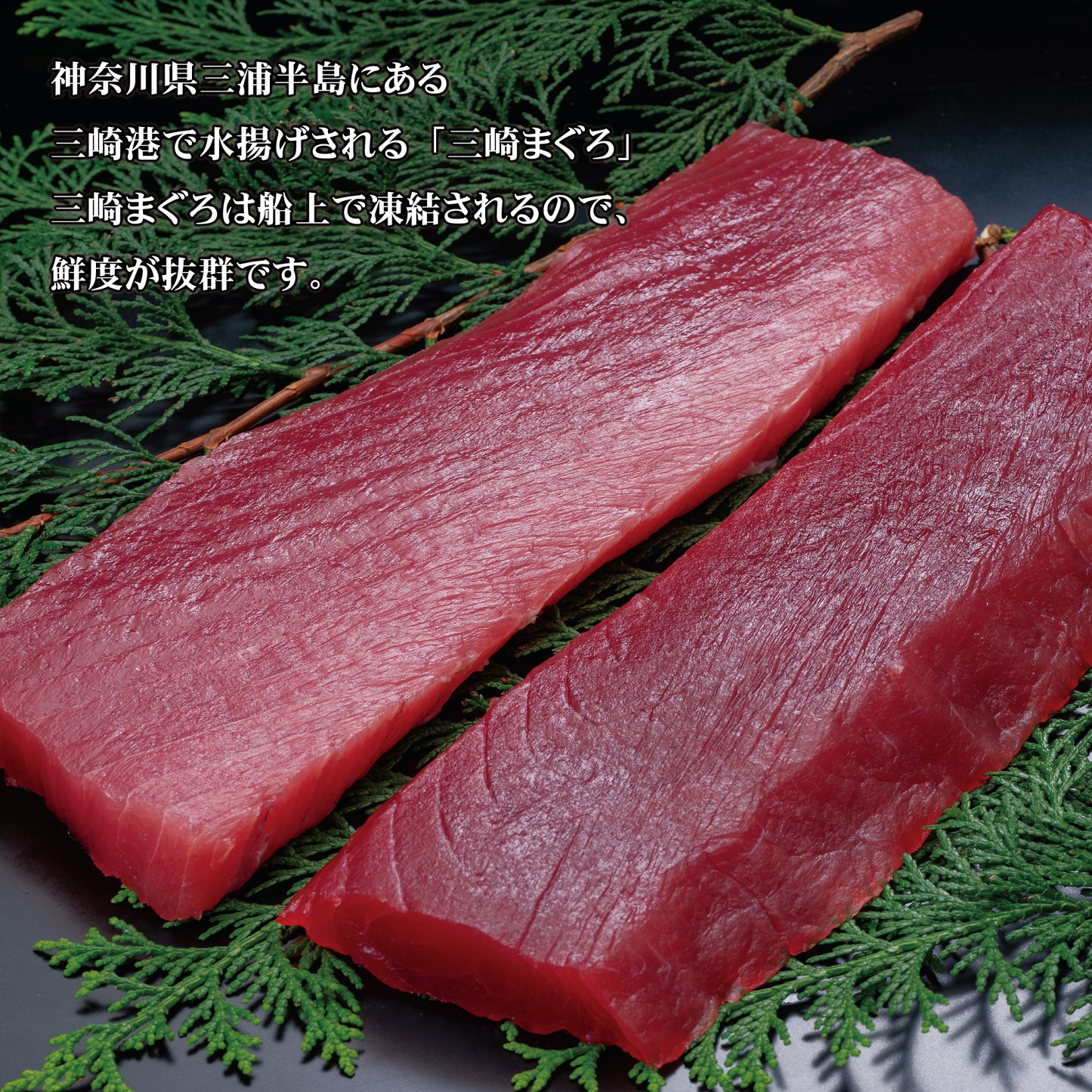 まる浜　三崎まぐろ丼セット
